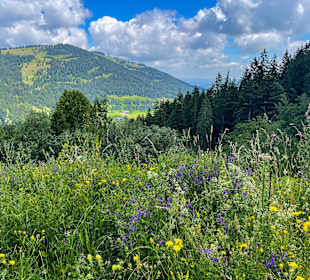 Wandern Ofterschwang