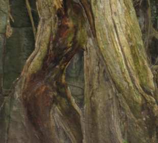 Wer schaut mir denn da in die Kamera?!