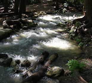 Mineralreicher  Fluss in der Nähe von Neiba
