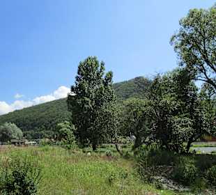 Valea Mureșului / Mureș-Tal 