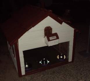 An Strandpromenade Katzenhaus der Hotels 