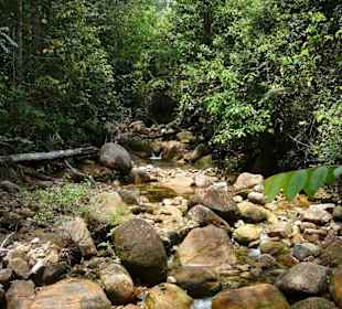 Beschilderter Dschungelpfad am Damai Beach