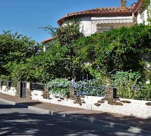 Impressionen aus der Altstadt von Banyuls-sur-Mer 