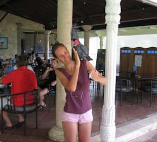 Gisela und der Vogel