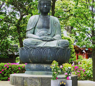 Buddha