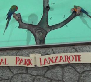 Guinitate Tropical Park