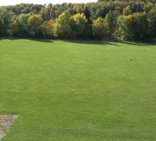 Sportplatz Dottingen