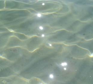 Sauberes Wasser im Meer