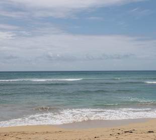 Gundula's Tropical Treasure