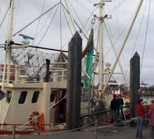 Der Hafen von Fedderwardersiel