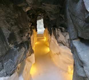 Stiftung Cesar Manrique