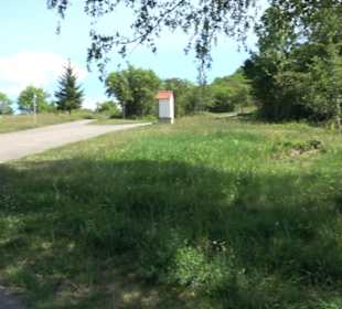 Früchtetrauf - Wurmlinger Kapellenwegle