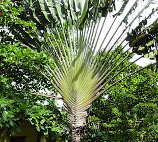 Tropical River Tour  – Oktober 2014