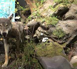 Naturparkzentrum Ruhestein