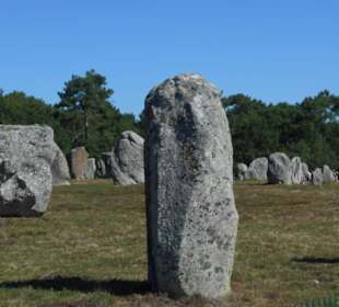 Hinkelstein-Feld Carnac