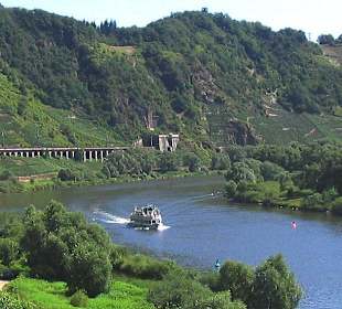 Moselschleife bei Alf