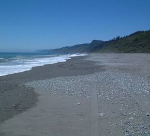 Parco nazionale Redwood