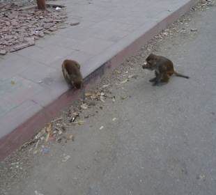 Aufpassen, jede Menge und gefährlich