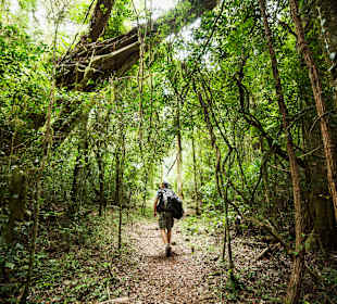 Naturreservat Lokobe