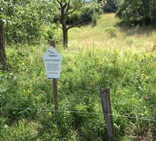 Premiumspazierweg Früchtetrauf-Leisawegle