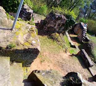 Burgruine Hohenburg in Homburg