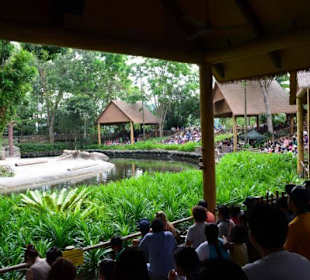 Singapur Zoo