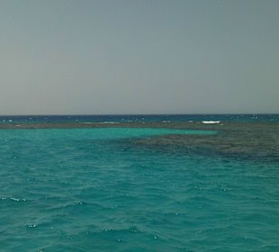 Riff beim Schnorcheln 