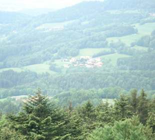 Ausblick