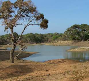 Yala-Nationalpark