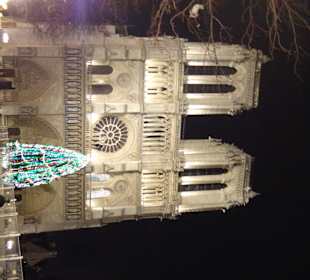 Notre Dame am Abend