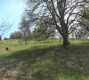 Rundweg am Beutenlay