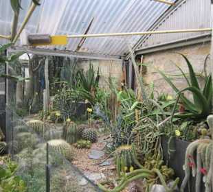 Botanischer Garten Bergamo