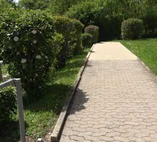 Friedhof Bechtoldsweiler