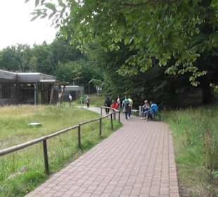 Naturerbe Zentrum 