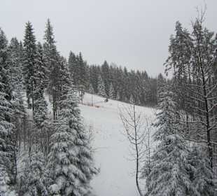 Wyciąg Kotelnica III - widok na czerwoną trasę