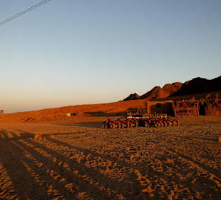 Wüstensafari - Tour mit Mohammed