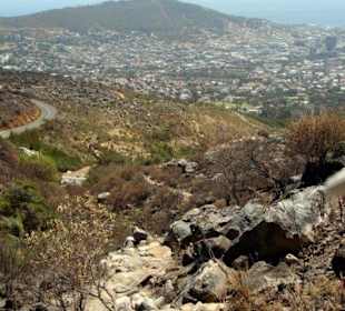 Wanderung auf denTafelberg