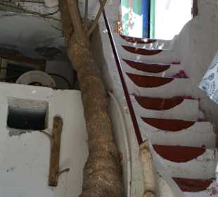 Strand Myrtos