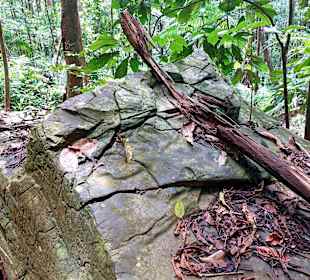 Parque Natural Obô do Príncipe