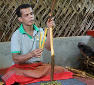 Geführte Touren Your Tour Sri Lanka