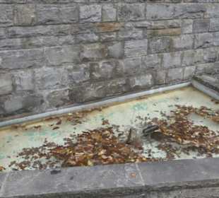 Flötenspieler-Brunnen