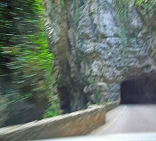 Man kann sich nicht satt sehen 