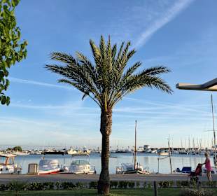 Bild auf den Hafen direkt am Strand