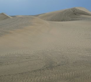 Dünen von Maspalomas