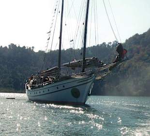 Naga Pelangi, der Regenbogendrache