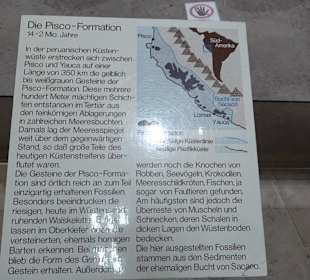 Staatliches Naturkunde Museum