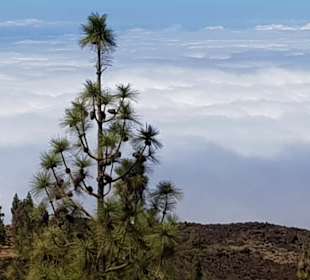 Tolle Aussichten da oben