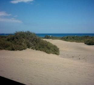 Dünen Maspalomas
