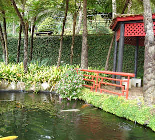 Madeira Funchal Monte tropischer Garten