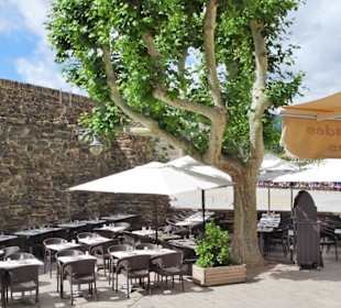 Frühling in der Altstadt von Collioure